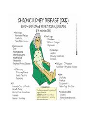 Nr 325 Concept Map Ckd 1 Docx Chronic Kidney Disease Slow