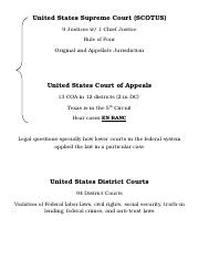 Chapter 14 judiciary. cheat notes.doc
