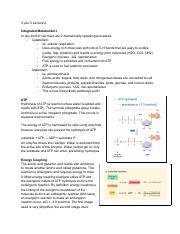 biology 1002b cycle 5.pdf