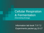 Lab 6 Cellular Respiration & Fermentation