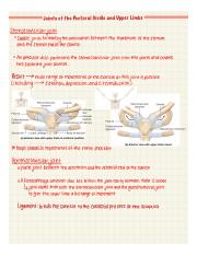 Human Anatomy -065.JPG