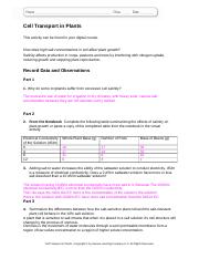 BIO_CELL_L03_Synth_Interactivity_WKS (1).docx