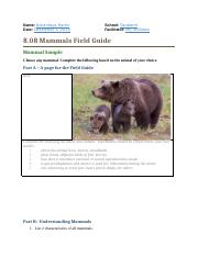 8.08 Mammals Field Guide Bear.docx