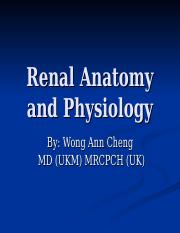 8526708-Renal-Anatomy.ppt