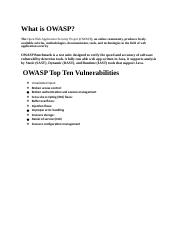 What is OWASP.docx