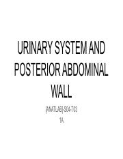 ANATLAB-A-S04-T03-URINARY-SYSTEM-AND-POSTERIOR-ABDOMINAL-WALL.pdf