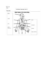 Vertebrate Anatomy Lab 11.pdf