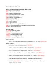 KEY Protein Synthesis Study Guide.pdf