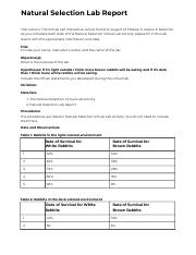 Copy of Natural Selection Lab Report Template.docx