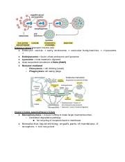 Cell Physiology (BIOL 445) - Class Notes Chp. 10.docx