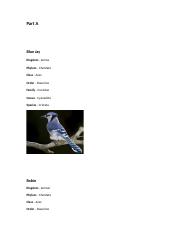 (Biology) 06.01 Classification of Living Organisms.rtf