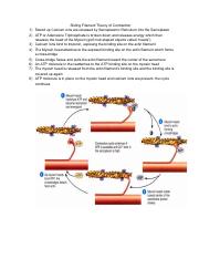 2.03 Muscle Contraction.pdf