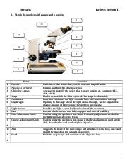Lab 1 - Microscope Analysis.docx