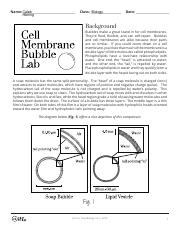 CALEB HERRING - Cell-Membrane-Bubble-Lab (1).pdf