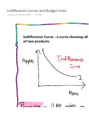 Indifference Curves and Budget Lines.pdf