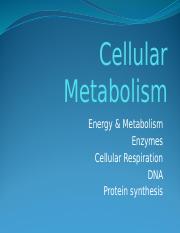 Ch. 4-Cellular metabolism.pptx