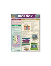 department-portfolio-biology.png
