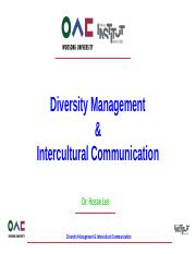 Hosae Lee - Diversity Management Lecture Slides (3).pptx