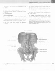 格氏解剖学  教学版  第2版  英文版  影印版_391.pdf