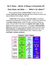 food chains and webs notes