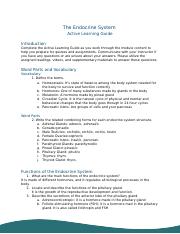 Assignment - Active Learning Guide (Ch. 13 - The Endocrine System) 3.docx