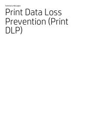 Print DLP Technical White Paper.pdf