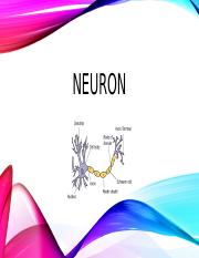 NeuroneNM.pptx