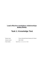 Task 2 Lead effective workplace relationships.docx