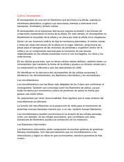 Citoesqueleto Informe.docx