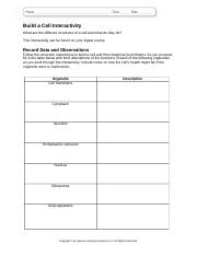 worksheet_6_12_BuildCell.doc