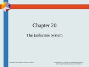 Chapter20 endocrine