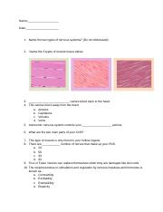 Anatomy Quiz.docx