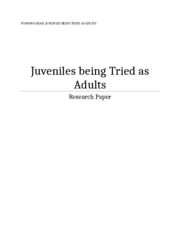 should juveniles be tried as adults research paper