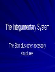 2.03 Integumentary System (1).pptx