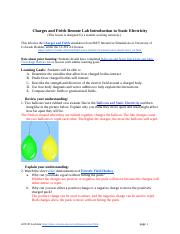 Electric_Field_Introduction_Remote_lab_1.docx