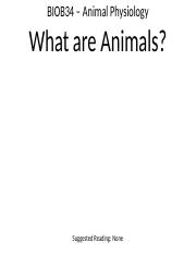 1 - What are Animals.pptx