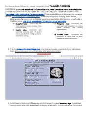 S.Barnett [PER] -Brain Webquest.pdf