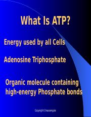 ATPandCellularRespiration_ppt.pptx