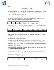 Calculus Limits Notes.pdf