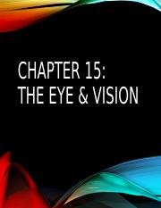 11 Eye & Vision.ppt