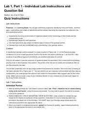 Quiz_ Lab 1, Part 1 - Individual Lab Instructions and Question Set.pdf