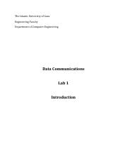 lab1_ introduction .pdf