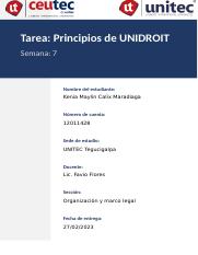 Principios de UNIDROIT.docx