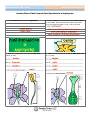 video_recap_of_plant_angiosperm_reproduction_by_amoeba_sisters.pdf
