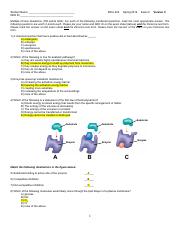 Bio 203 Exam II Version C S2019.pdf