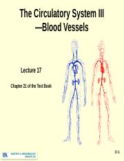 Lecture 17 - Circulatory System 3