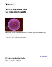Jalen Lovett - Chapter 3 CK-12 Biology Chapter 3 Worksheets.pdf