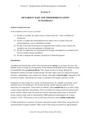 Bio120_LabEx09_Metabolic.pdf