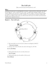 15 The Cell Cycle-S.pdf