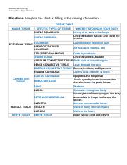 worksheet - tissues chart (4)